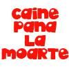 inscrieri campionat fifa 07 ed.2